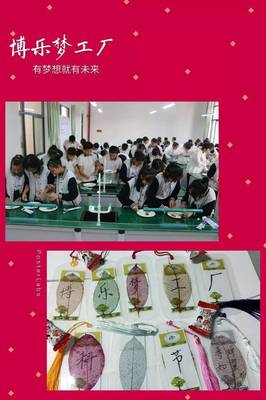 科技启迪心智 创新点燃梦想--北海市第二实验学校第三届“博乐梦工厂”科技节