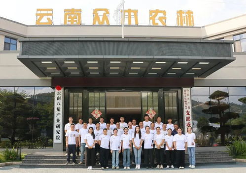 国内首家 云南八角产业研究院 筹 揭牌