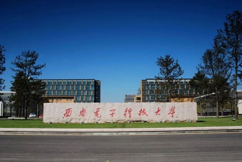 西电专业 信息 ,学成电晚一步 人家已经 互联网