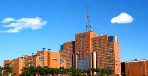 北京最难考的非211大学,被称为 官校 ,学生毕业基本做公务员